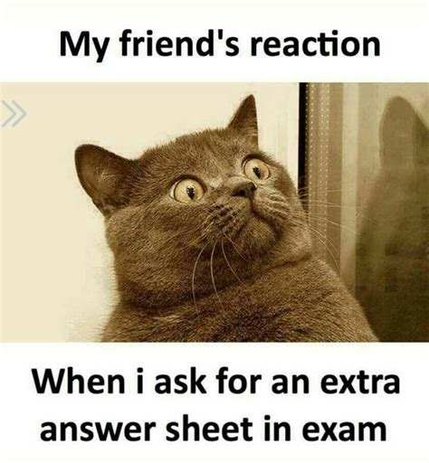 30 Funny Exam Memes for Students .